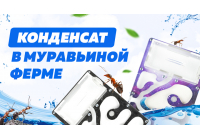 Почему появляется конденсат в муравьиной ферме и как его убрать