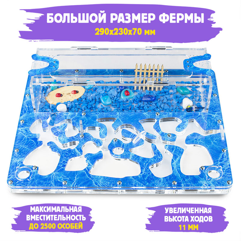 Муравьиная ферма Макси "Аква" (ПОЛНЫЙ КОМПЛЕКТ) Муравьиная ферма Макси "Аква" (ПОЛНЫЙ КОМПЛЕКТ)
