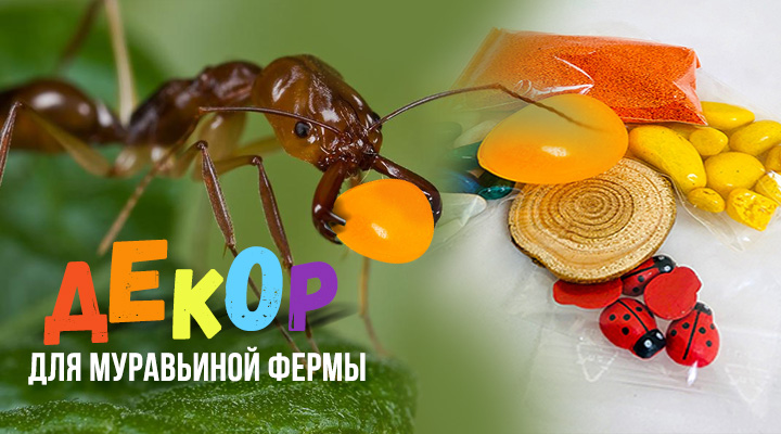 Набор декора в подарок: добавь красоты и эстетики в маленький мир муравьев